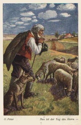 Shepherd with flock of sheep artist card O. Peter "This is the day of the Lord" o 1955