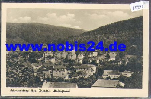 01762 Schmiedeberg, Molchgrund *ca. 1956