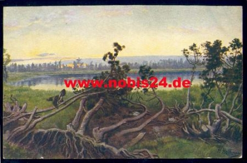 Black Forest series V sheet 11 Hornsee artist card H. Hoffmann * approx. 1910