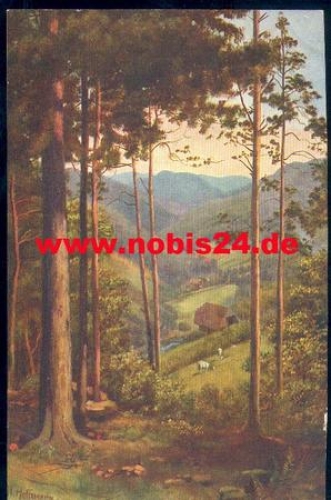 Black Forest series II sheet 1 through-view artist card H. Hoffmann * approx. 1910