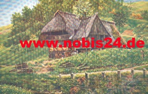 H. Hoffmann Black Forest Houses Series III on Landstrasse Artist's Card * approx. 1910