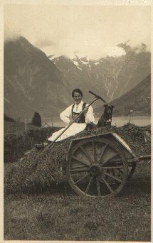 Agriculture, woman with a dog on a wagon, real photo, * around 1920