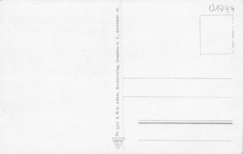 01773 Wald Bärenburg Altenberg Riedelmühle * um 1930