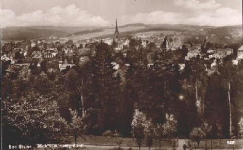 08645 Bad Elster Blick von der Betty Bank * ca. 1930