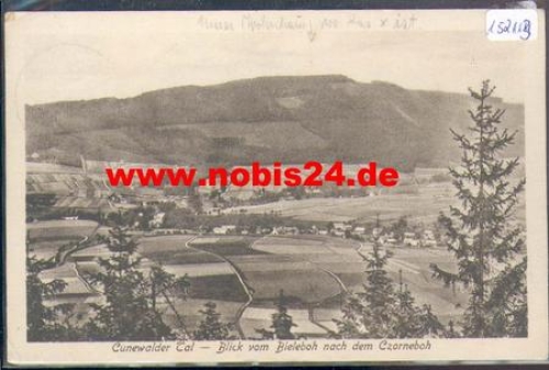 02733 Cunewalder Tal vom Bieleboh nach dem Czorneboh o 1930