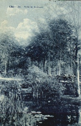 Chemnitz Kuechwald o 25.2.1914