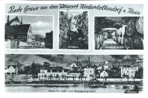 53639 Niederdollendorf Vintage wine cellar o 24.12.1958