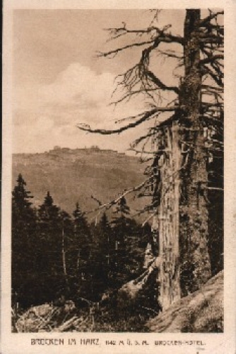 38875 Brocken mit Brockenhotel o 4.9.1927