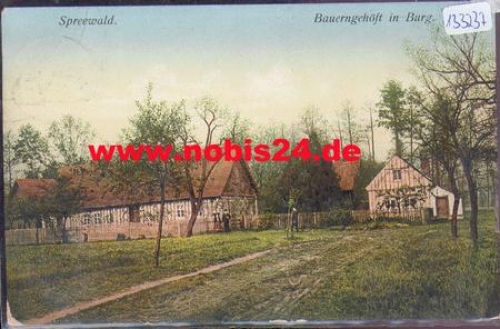 03096 Burg Spreewald Bauerngehöft o 2.6.1911