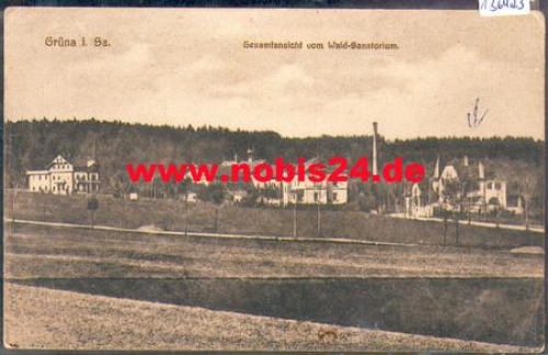 09224 Gruena Chemnitz vom Wald-Sanatorium *ca. 1920
