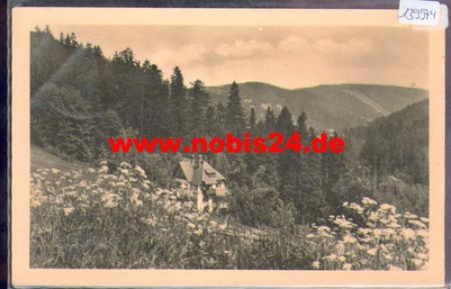 01776 Bärenfels Sommerblick in Weisseritzthal o 18.6.1954