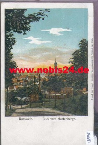 04741 Rosswein  vom Hartenberge o 1.9.1911