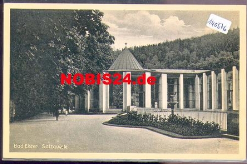 08645 Bad Elster Salzquelle *ca. 1940