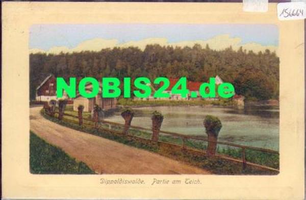 01744 Dippoldiswalde Teich, o 9.9.1911