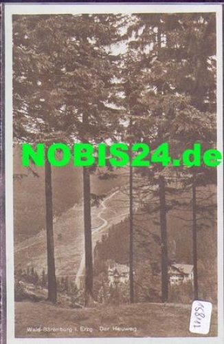 01776 Wald-Baerenburg Der Heuweg *ca. 1930