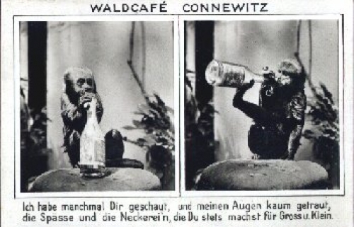 Connewitz Leipzig Forest Cafe Monkey *approx. 1930