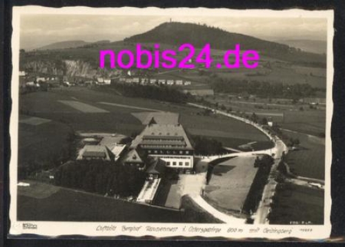 01778 Geisingberg Raupennest *ca.1940 ​​​​​​​ Verlag Hahn-Foto10377