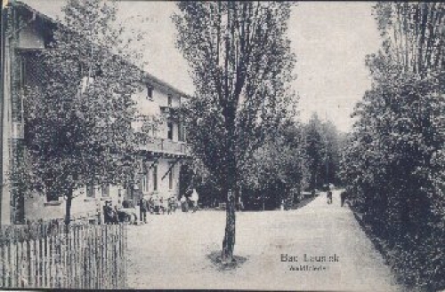 04651 Bad Lausick Waldfrieden o 18.8.1919