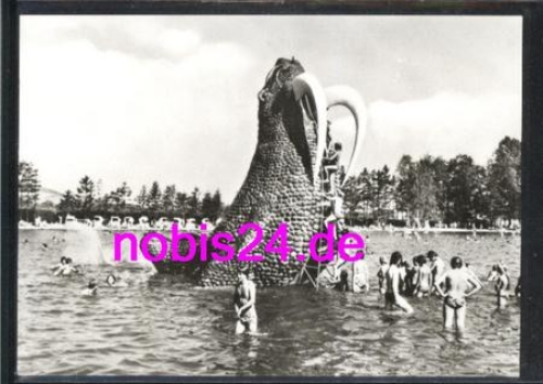 02779 Grossschönau Walross im Waldbad *ca. 1983