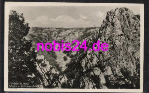 06502 Bodetal im Harz  Schurre  *ca.1930