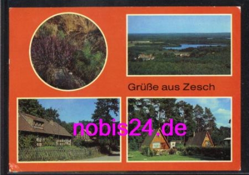 15838 Zesch Finnhuetten Foersterei o ca.1983