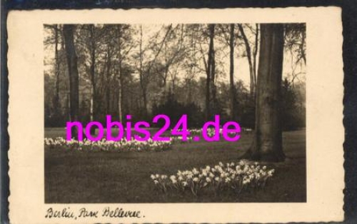 Berlin Park - Bellevue o 25.11.1931