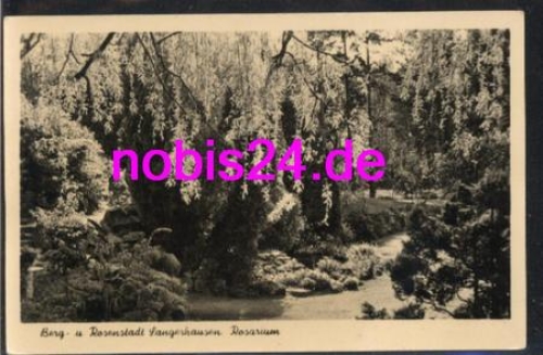 06526 Sangerhausen Rosarium  *ca.1957