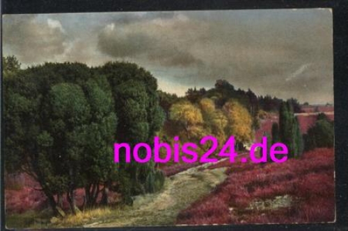 29614 Luneburg Heath Nature Conservation Park *ca.1930