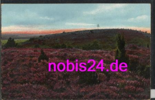 29614 Lueneburger Heide Wilseger Berg *ca.1930