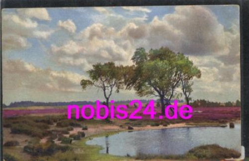 29614 Luneburg Heath Beautiful nature *ca.1930
