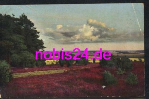 29614 Lueneburger Heide Wilseder Berg *ca.1930