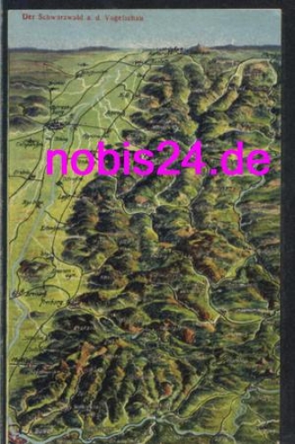 Schwarzwald Vogelschau *ca.1910