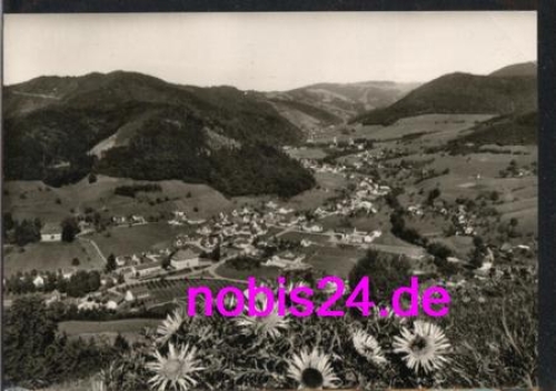 79244 Muenstertal Schauinsland *ca.1976