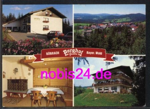 94255 Bobrach Regen Berghof Gisela o 13.2.1994