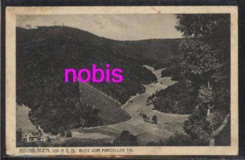 79410 Hochblauen bei Badenweiler o ca.1920