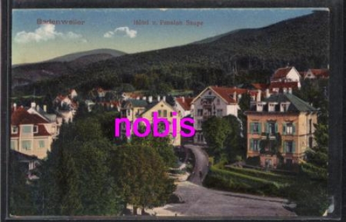 79410 Badenweiler Hotel Saupe *ca.1920