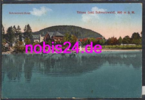 79822 Titisee Schwarzwald Hotel *ca.1920