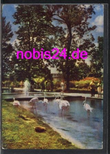 Erfurt IGA - Flamingos waterway o ca.1966