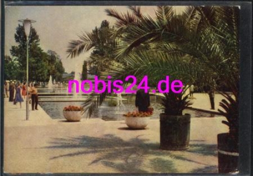 Erfurt IGA - Palmen an Wasserachse *ca.1961