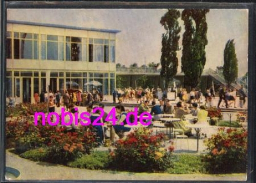 Erfurt IGA Rosen an der Gaststätte *ca.1961