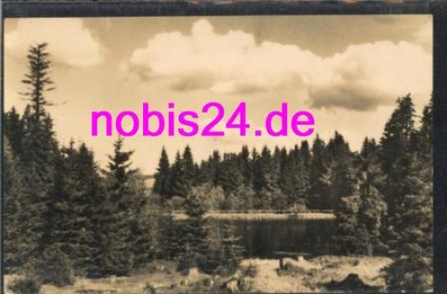 98701 Neustadt Rennsteig Hollteich *ca.1975