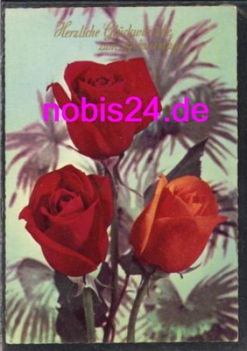Rosen Geburtstag o 12.6.1970