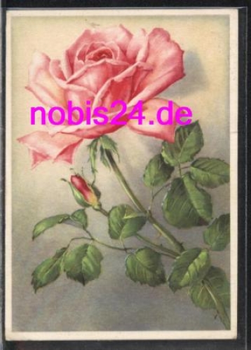 Rose bouquet artist card o 25.7.1942