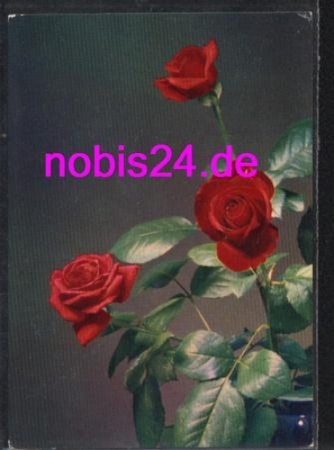 rote Rosen *ca.1970