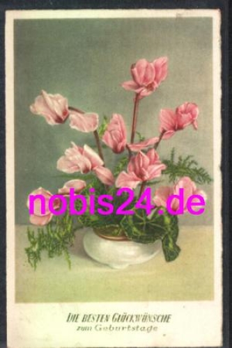 Cyclamen in vase birthday o circa 1938