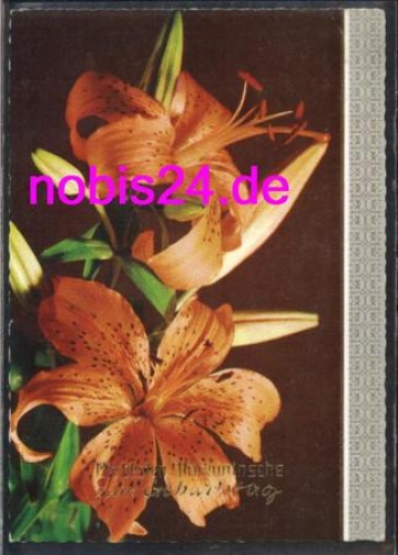 Tiger Lily Birthday Card o 19.6.1976