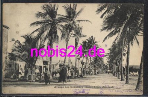 Saint Luis Strasse Cocoiere Senegal *ca.1915
