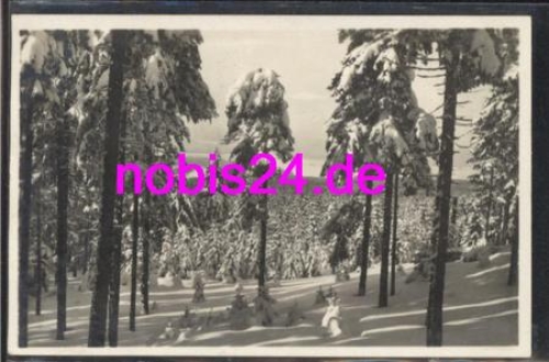 01773 Kahlenberg Winterzauber o 29.12.1928