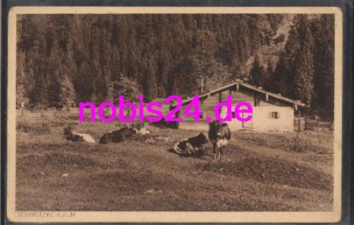 83471 Berchtesgadener Land Alm *ca.1925