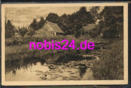 03222 Spreewald - water lilies o 14.4.1960